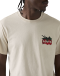 Relaxed Fit Graphic T-Shirt in Coastal Creative Fresh & Smooth Pumice Stone