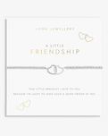 A Little Friendship Bracelet in Silver