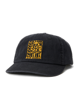 Artist Of The Search Ty Williams Snapback Cap in Black