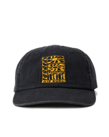 Artist Of The Search Ty Williams Snapback Cap in Black