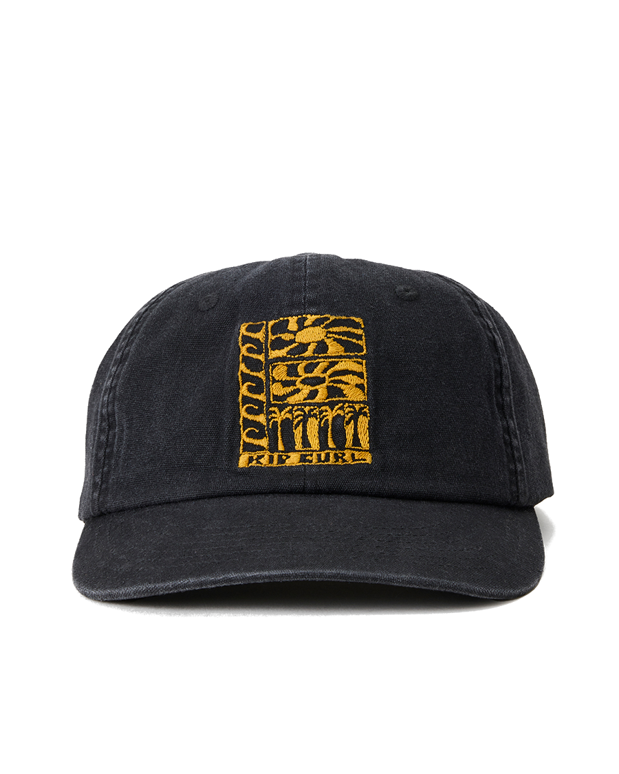Artist Of The Search Ty Williams Snapback Cap in Black