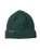 Classic Surf Beanie in Green