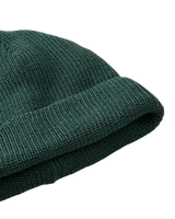 Classic Surf Beanie in Green