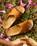 Kīpe‘a ‘Olu Leather Sliders in Sahara