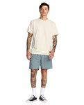 The RVCA Mens Sands Shorts in Lead