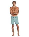 The RVCA Mens VA Pigment Boardshorts in Blue Haze