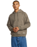 The RVCA Mens Dayshift Hoodie in Mushroom