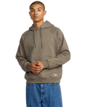 The RVCA Mens Dayshift Hoodie in Mushroom