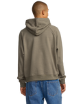 The RVCA Mens Dayshift Hoodie in Mushroom