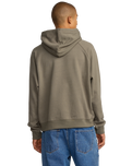 The RVCA Mens Dayshift Hoodie in Mushroom
