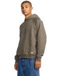 The RVCA Mens Dayshift Hoodie in Mushroom
