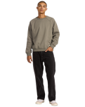 The RVCA Mens Dayshift 2 Sweatshirt in Mushroom