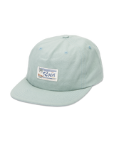 The RVCA Mens Exotica Snapback Cap in Lead