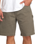 The Billabong Mens Bad Dog Walkshorts in Brown