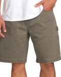 The Billabong Mens Bad Dog Walkshorts in Brown