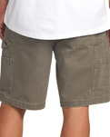 The Billabong Mens Bad Dog Walkshorts in Brown