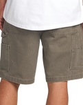 The Billabong Mens Bad Dog Walkshorts in Brown