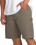 The Billabong Mens Bad Dog Walkshorts in Brown