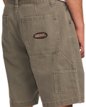 The Billabong Mens Bad Dog Walkshorts in Brown
