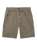 The Billabong Mens Bad Dog Walkshorts in Brown