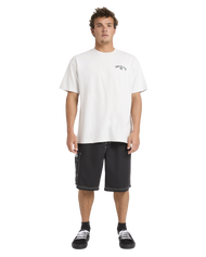 The Billabong Mens Spec 73 Bio Arch OG T-Shirt in Fog Gray