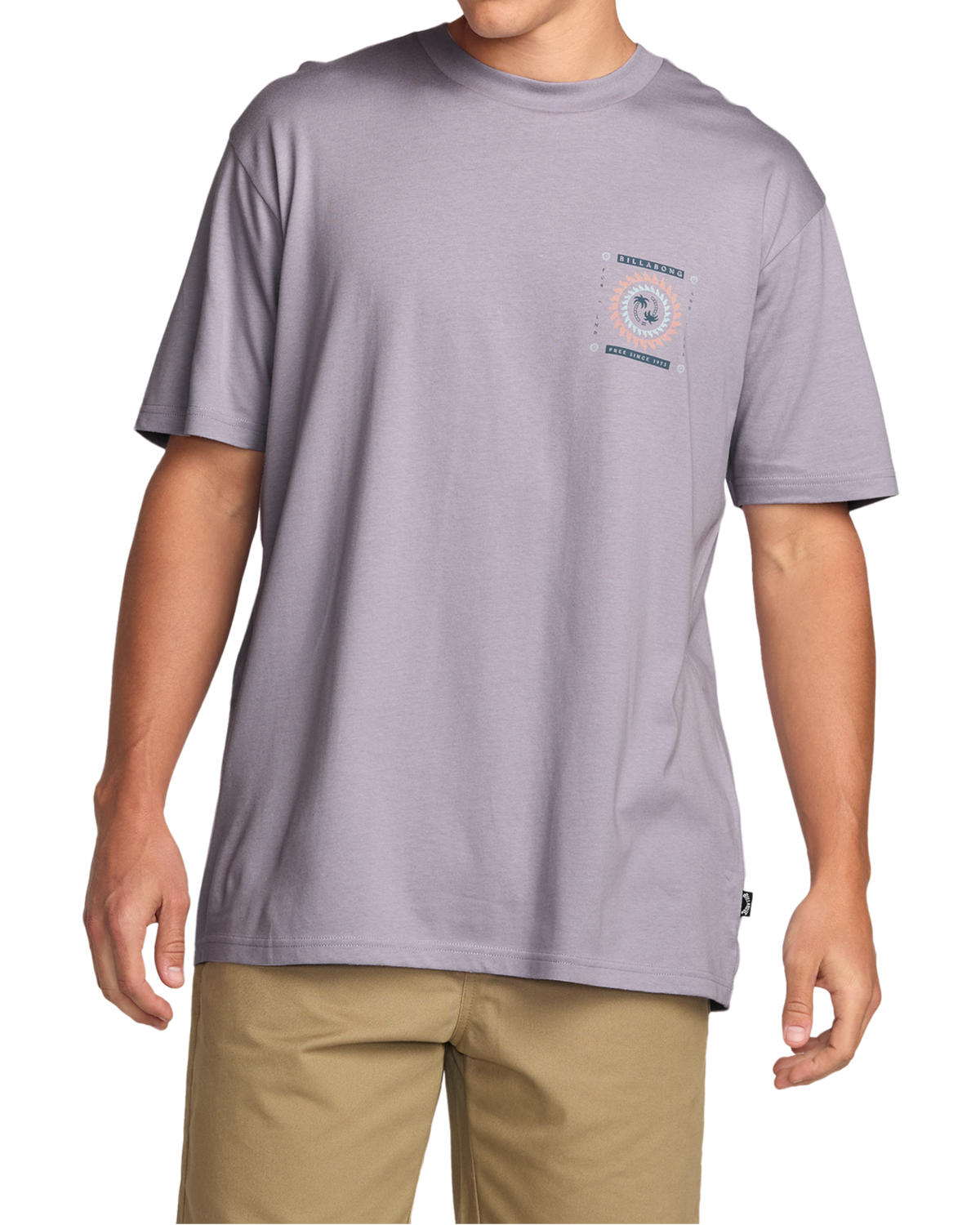 The Billabong Mens Spun Out Premium T-Shirt in Light Purple