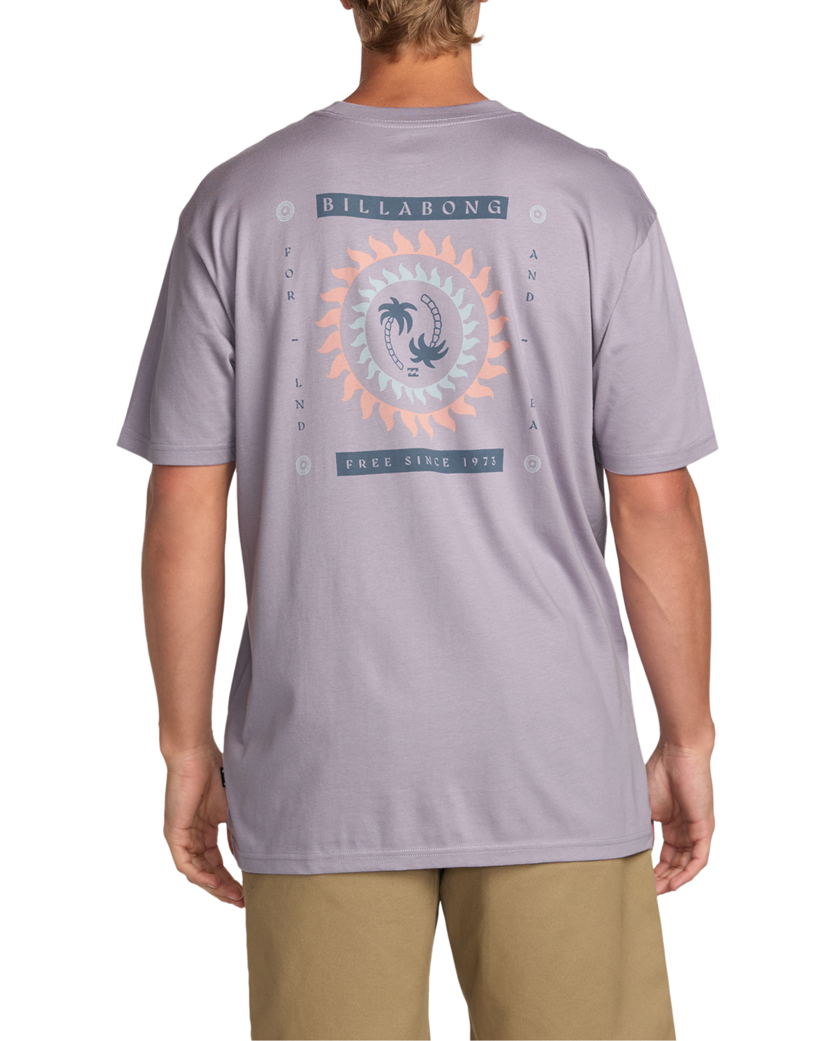 The Billabong Mens Spun Out Premium T-Shirt in Light Purple