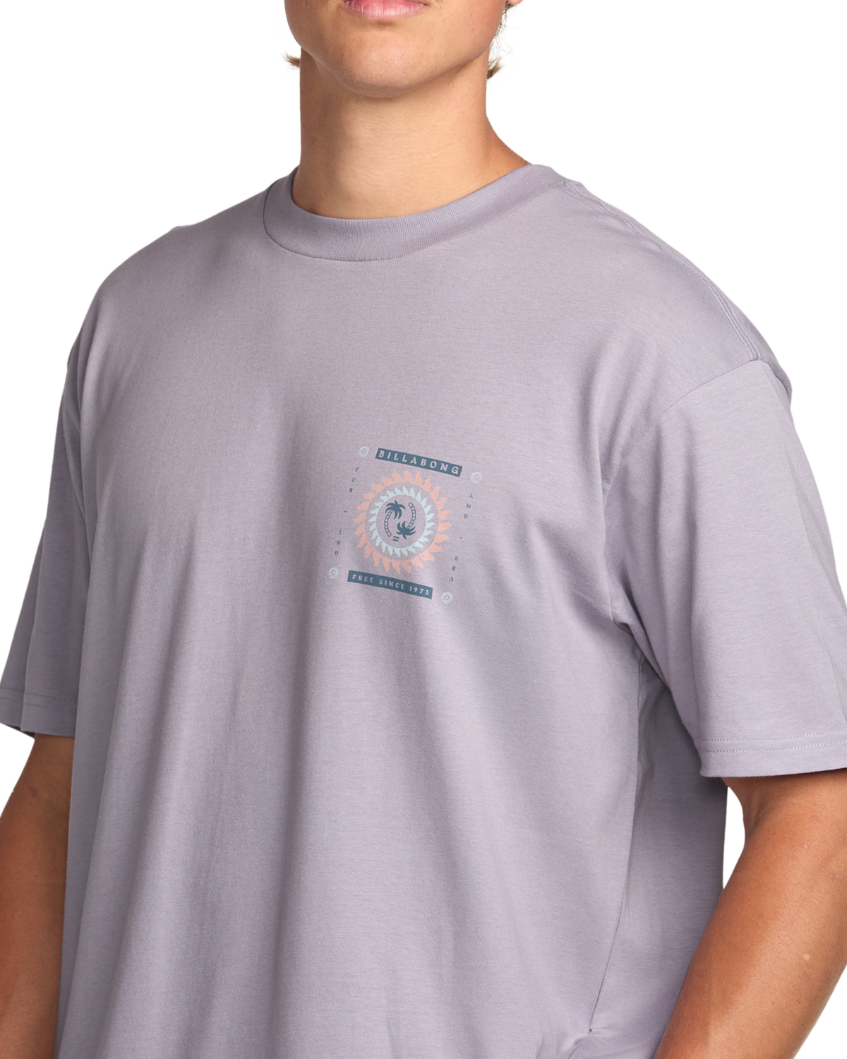 The Billabong Mens Spun Out Premium T-Shirt in Light Purple
