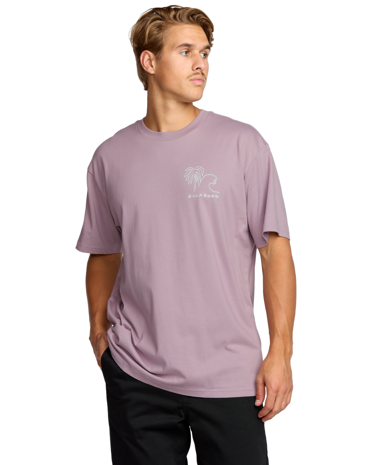The Billabong Mens Scenes T-Shirt in Purple Ash
