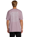 The Billabong Mens Scenes T-Shirt in Purple Ash