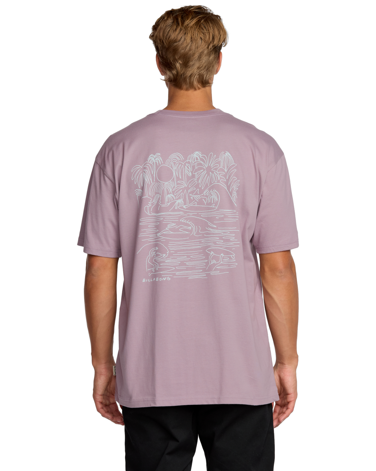 The Billabong Mens Scenes T-Shirt in Purple Ash