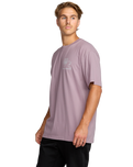 The Billabong Mens Scenes T-Shirt in Purple Ash