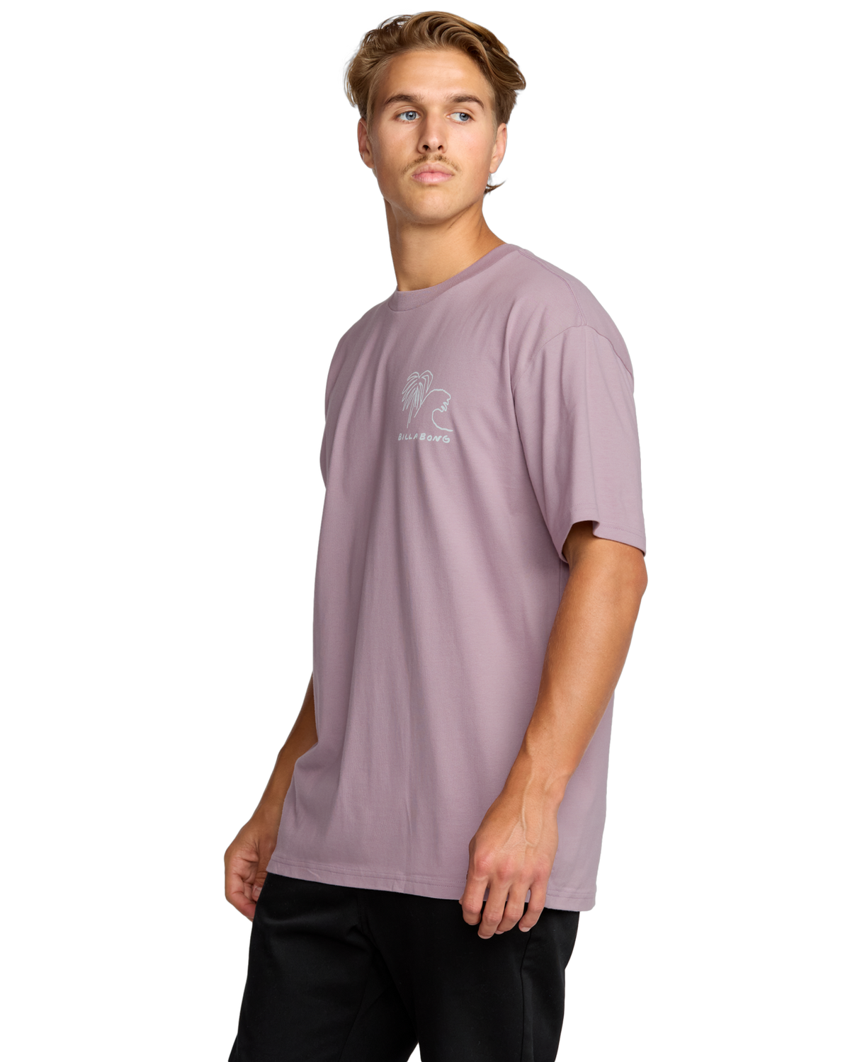 The Billabong Mens Scenes T-Shirt in Purple Ash