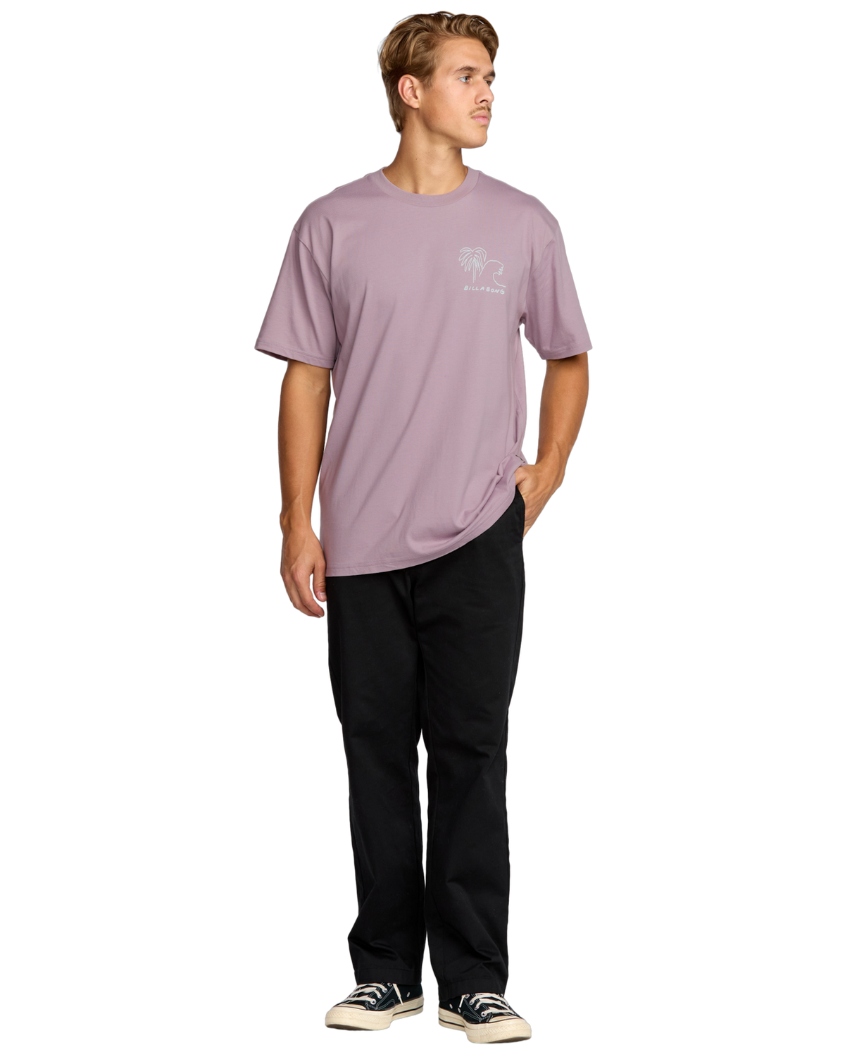 The Billabong Mens Scenes T-Shirt in Purple Ash