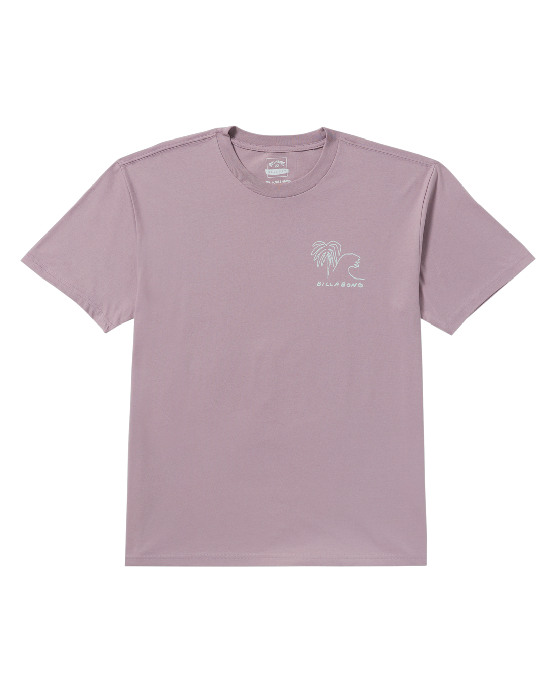 The Billabong Mens Scenes T-Shirt in Purple Ash