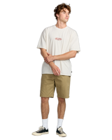 The Billabong Mens Bad Dog OG T-Shirt in Cement