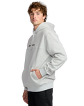 The Billabong Mens Legacy Hoodie in Grey Marle