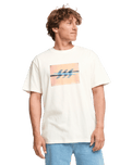 The Billabong Mens Subconscious Premium T-Shirt in Off White