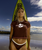 The Billabong Womens Supalove Baby T-Shirt in Choc Chip