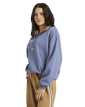 Wave Break 1/2 Zip Sweatshirt in Stone Blue