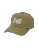 Dad Cap in Cactus