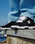 Stag Shoes in Black, Black & White