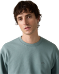 The Levi's® Mens Original Housemark Sweatshirt in Stormy Sea