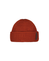 The Barts Mens Alexon Beanie in Brick