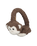 The Barts Girls Teddy Earmuffs in Brown