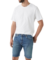 405™ Standard Walkshorts in Comeback Tour