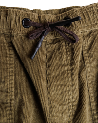 The Kavu Mens Take Ten Walkshorts in Kelp Forest