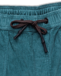 Take Ten Walkshorts in Transformative Teal