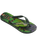 The Havaianas Mens Ipe Flip Flops in Green & Green