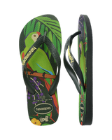 The Havaianas Mens Ipe Flip Flops in Green & Green